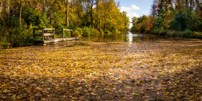15 things to do near Syracuse