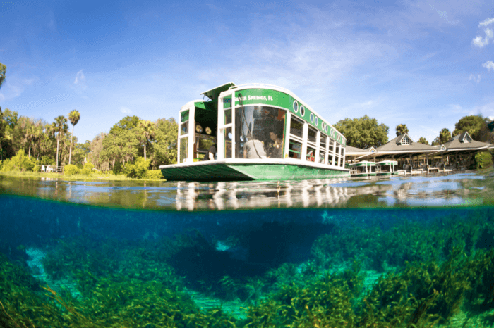 things to do in Juniper Springs