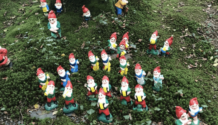 things to do in north devon