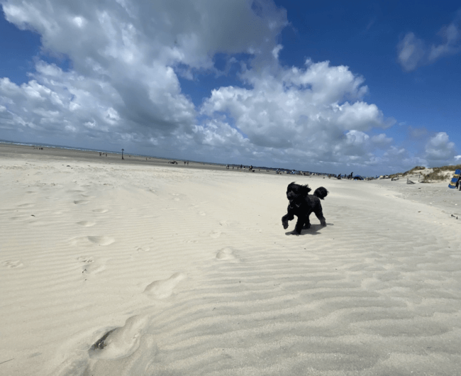west wittering beach photos