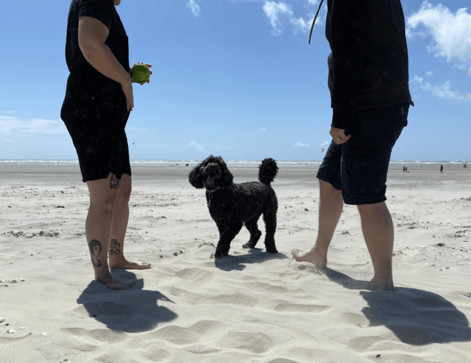 west wittering beach photos