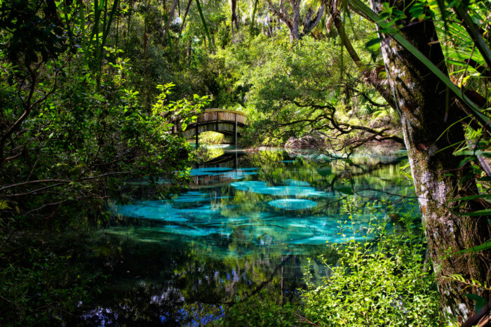 Things to do in Juniper Springs