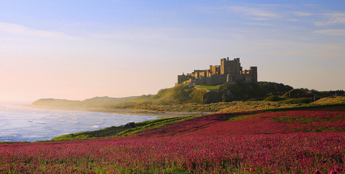 quirky places to visit in northumberland