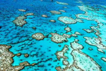 The,Great,Barrier,Reef,In,Queensland,,Australia.
