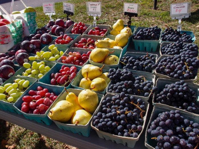 top things to do in utica new york