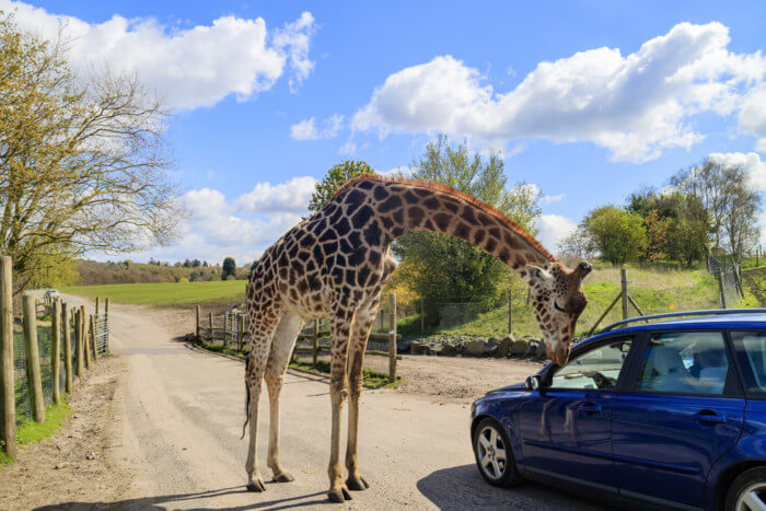 tourism warwickshire