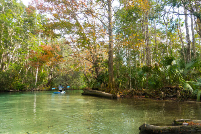 paddle boarding in weeki wachee