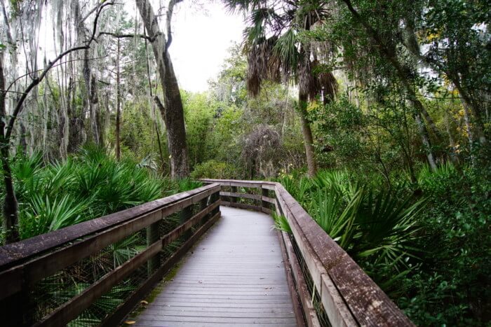 Things to do in Juniper Springs