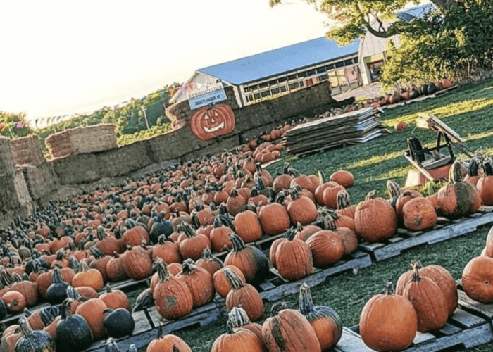 top things to do in Thousand Islands NY