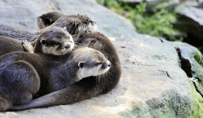 the best things to do in Thousand Islands NY