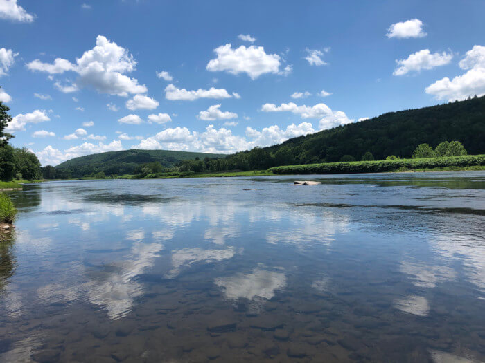 Delaware,River things to do in Callicoon NY