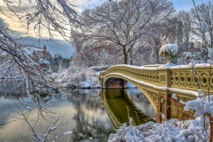 Christmas in central park