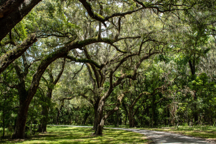 Brooksville, Florida: Rolling Hills and Tree Canopied Streets