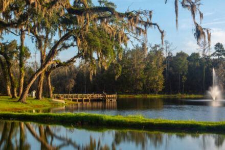 fun things to do in Brooksville