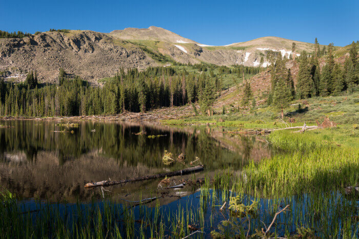 colorado trip in summer