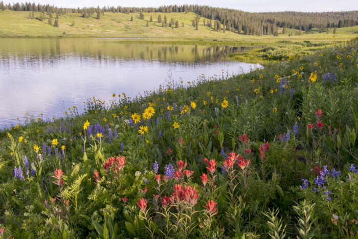 colorado trip in summer