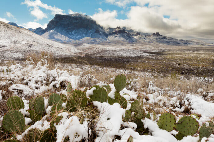 does it snow in Texas?