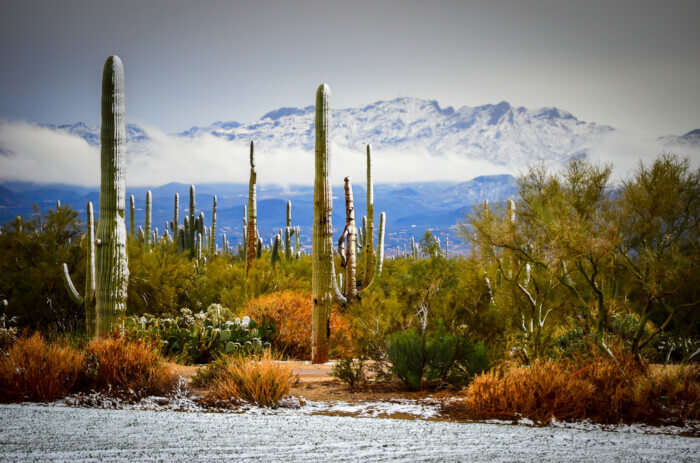 does it snow in Arizona