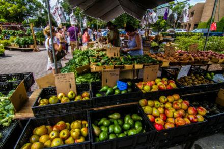 Florida markets