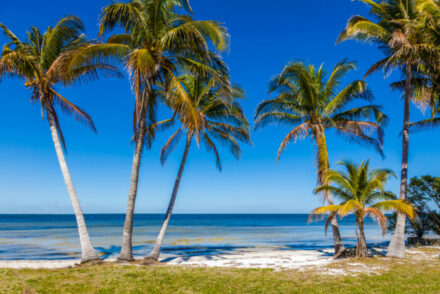 things to do in Pine Island, Florida