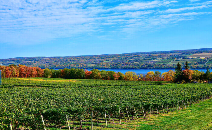 winery tours seneca lake ny