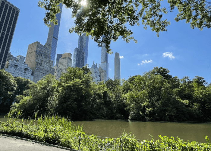 how big is Central Park