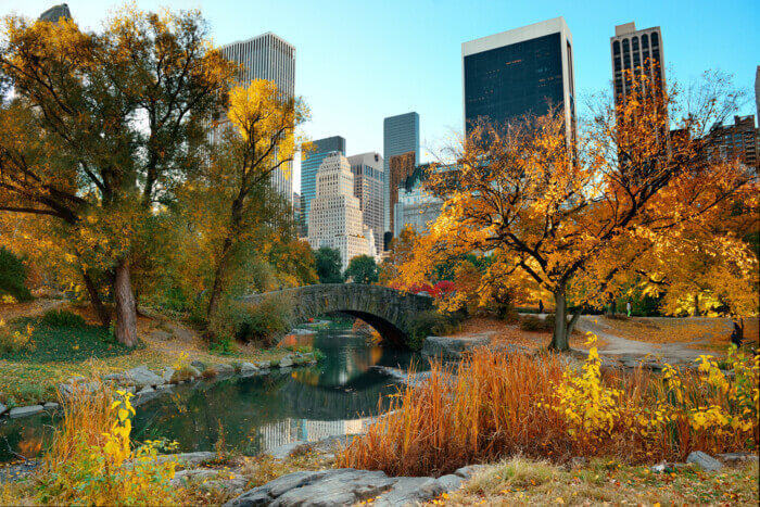 best central park walking tours