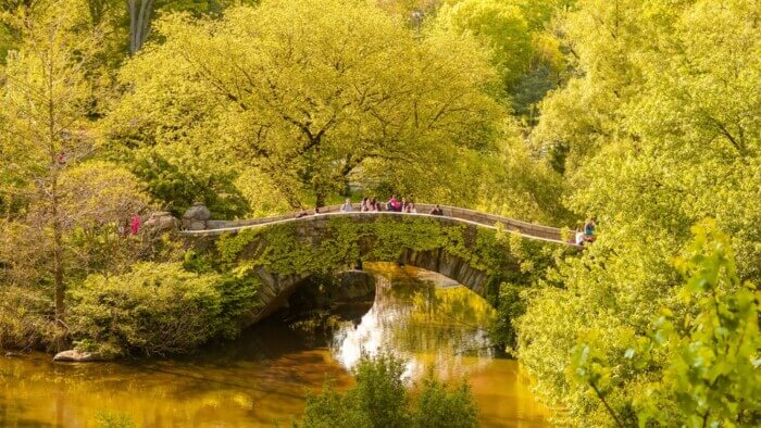 best central park walking tours