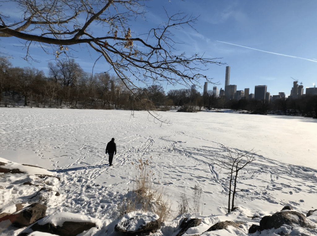 when to expect snow in New York City,