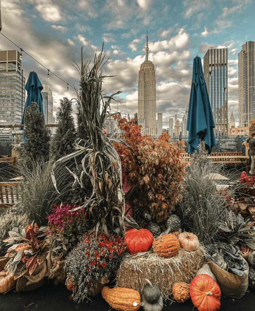 Thanksgiving decor at 230 fifth rooftop 