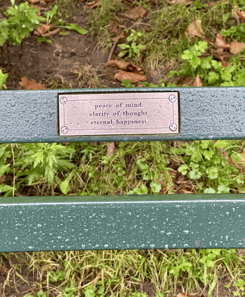 Central Park bench in the rain