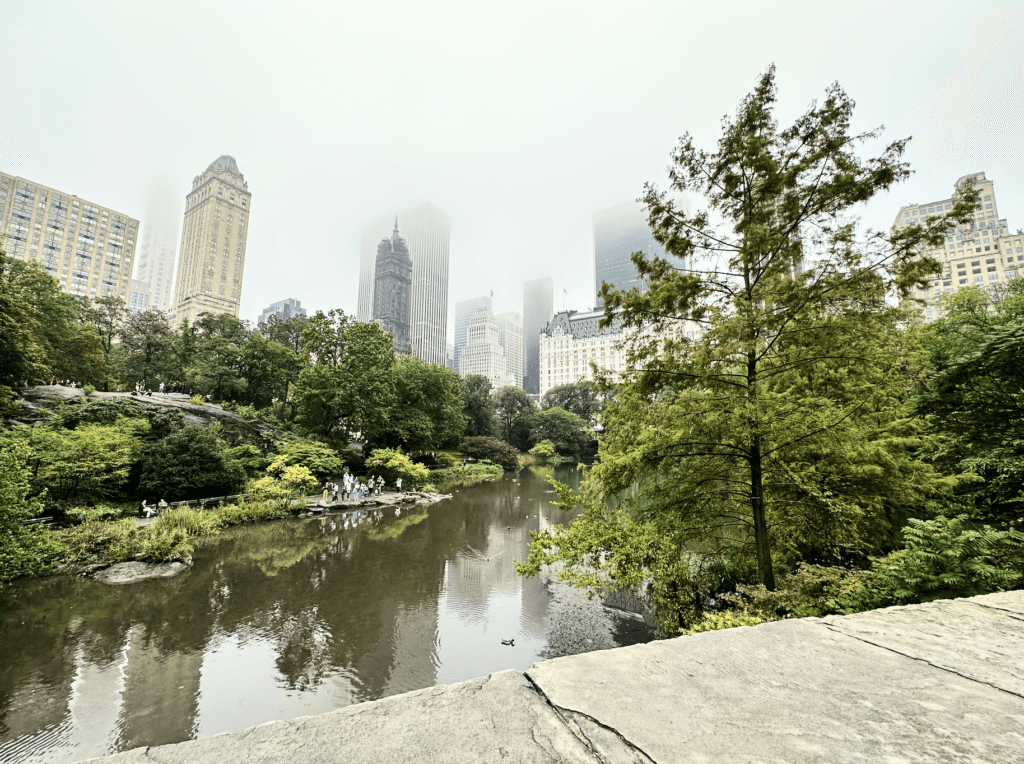 Central park view on a rainy day