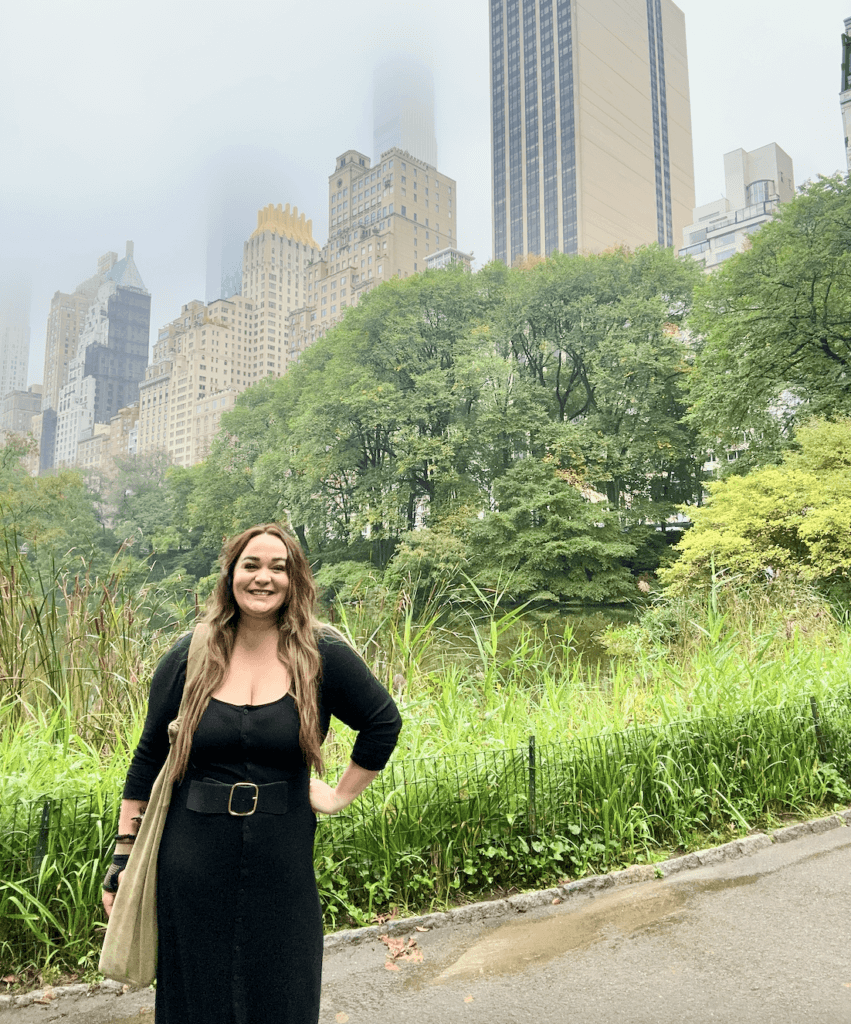 Central park on a rainy day