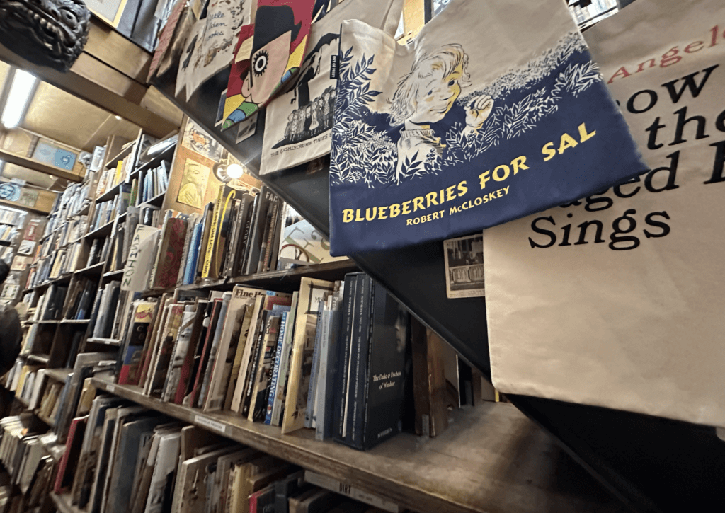 A beautiful old book shop worth exploring!