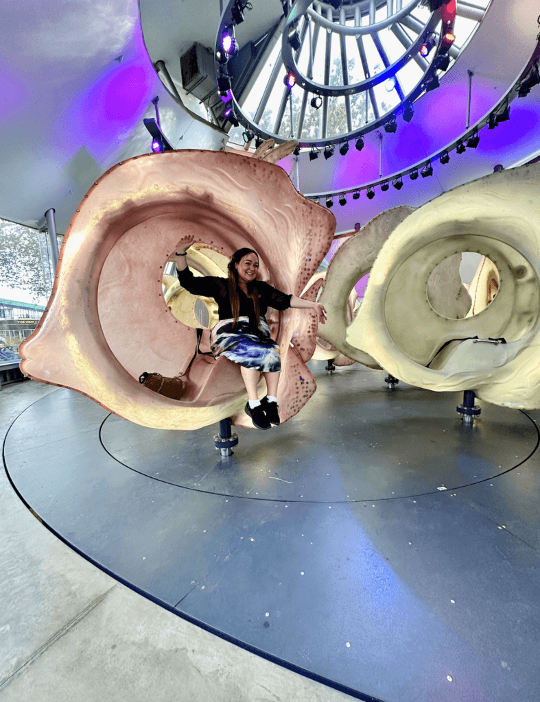 Ellie on the SeaGlass Carousel in NYC