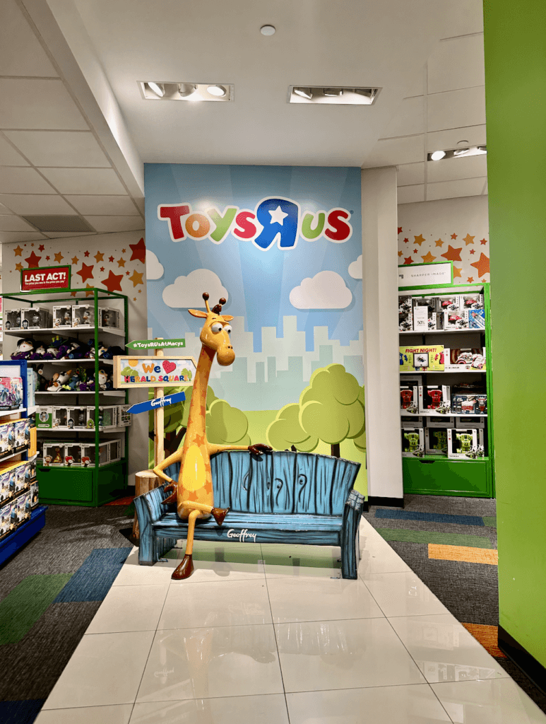 photo opportunities inside Toys R Us Macy's NYC