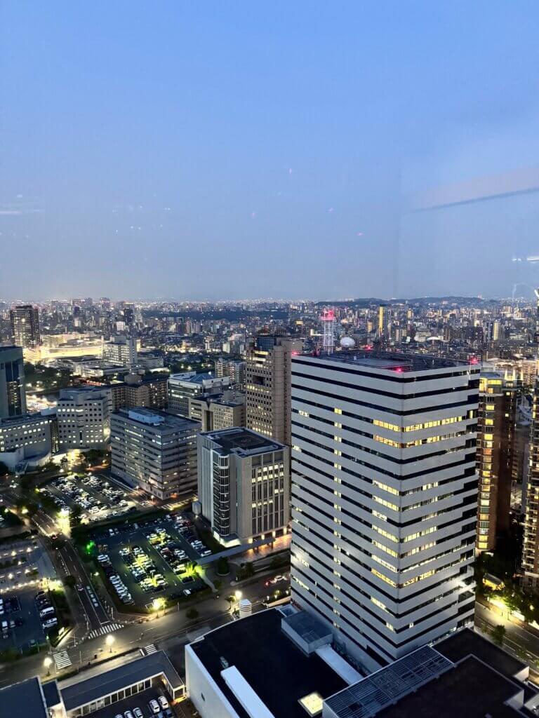 A view of the Fukuoka skyline from above.